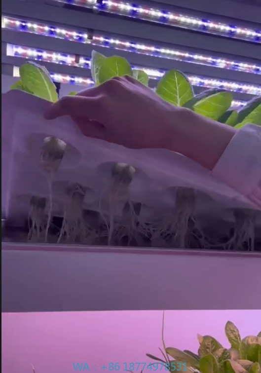 Farming Equipment For Agriculture - f Greenhouse Agricultural Equipment Grow Mushroom