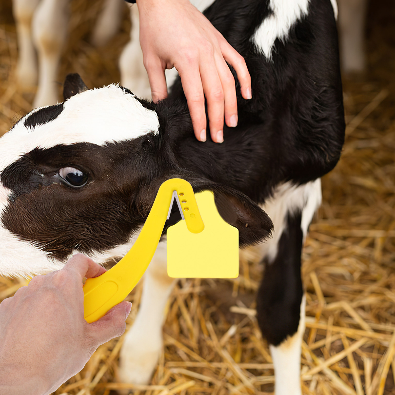 Livestock Ear Tag - Livestock Ear Tag Remover 2Pcs Heavy
