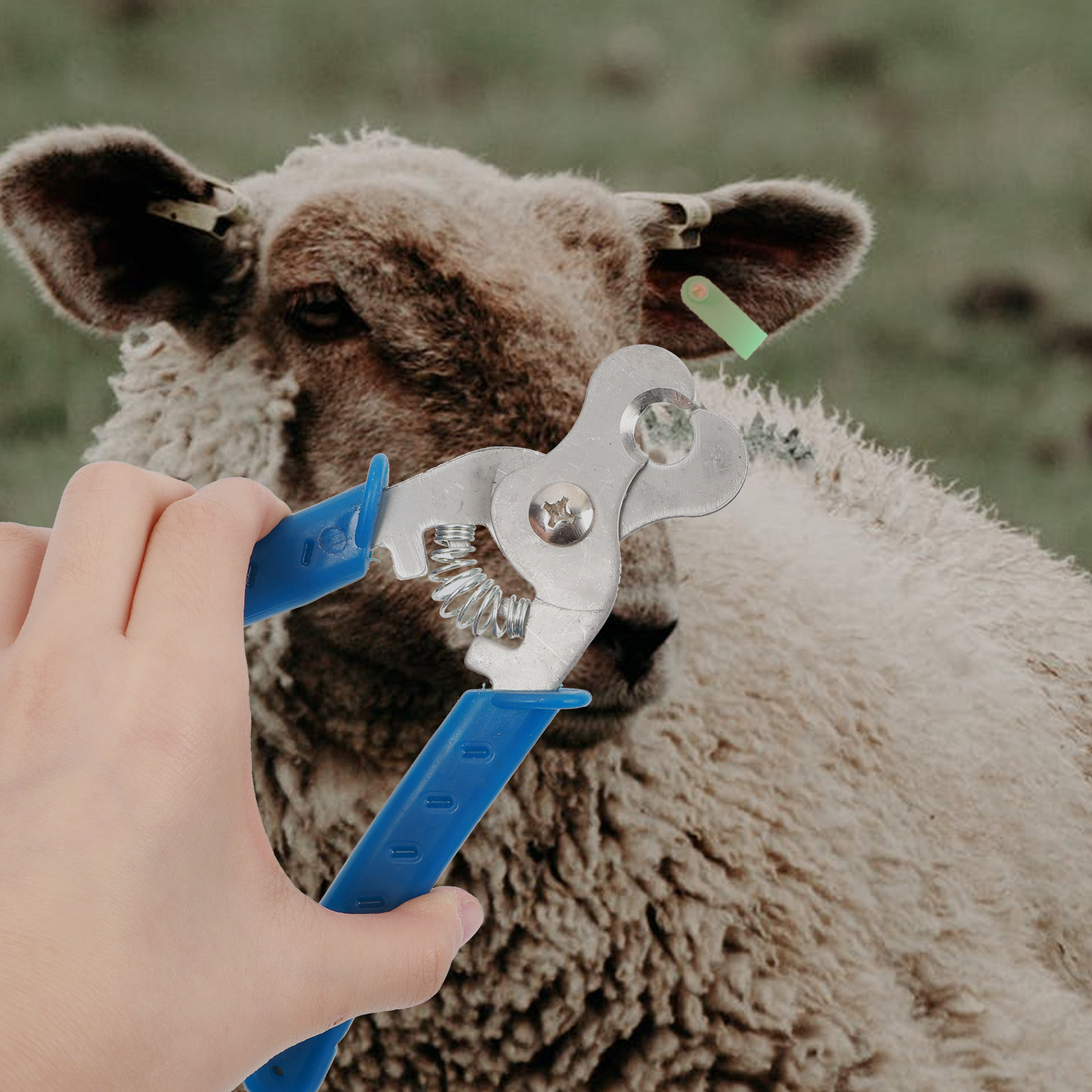 1Pcs Ear Tag Remover Stainless - Livestock Ear Tag 评论和价格