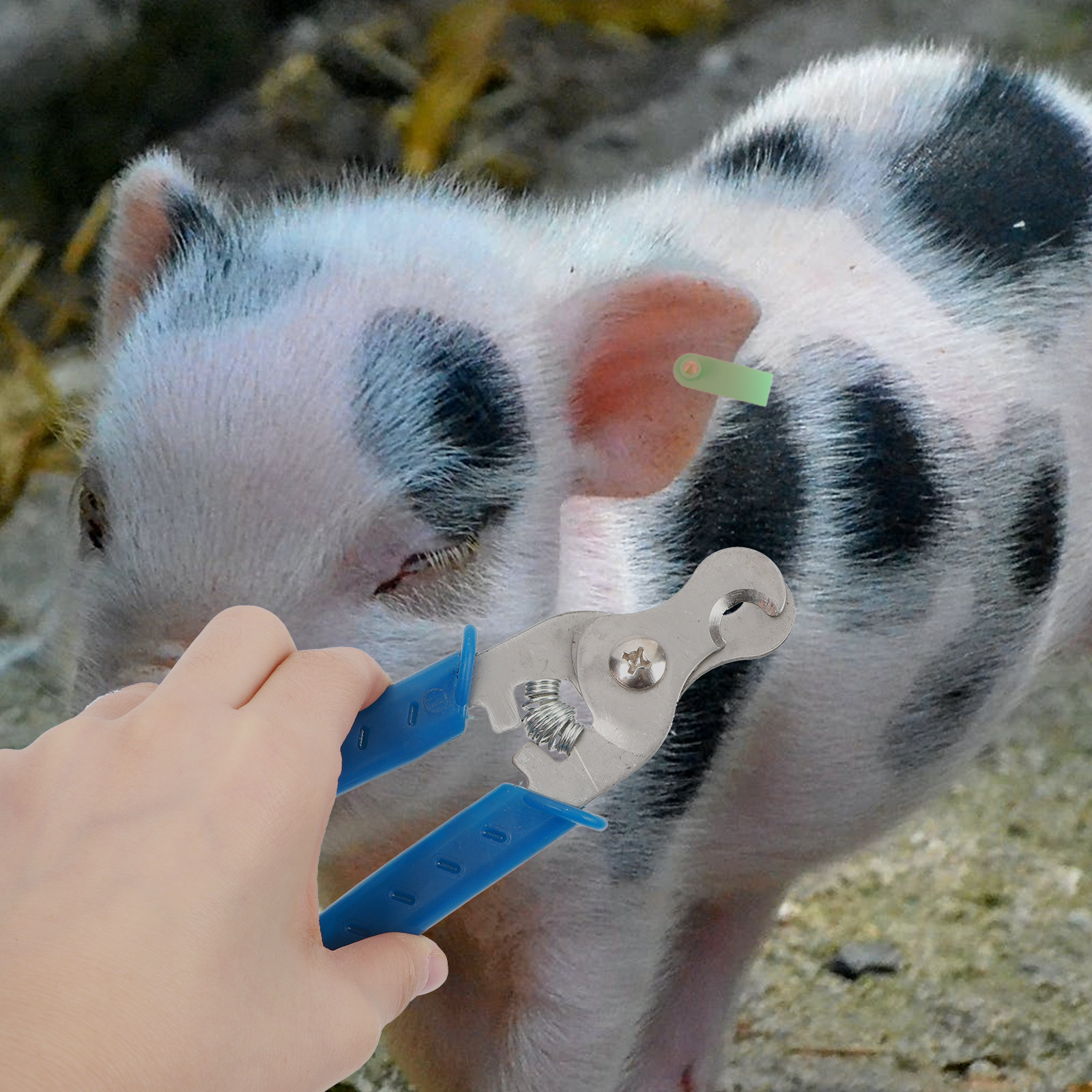 1Pcs Ear Tag Remover Stainless - Livestock Ear Tag 评论和价格