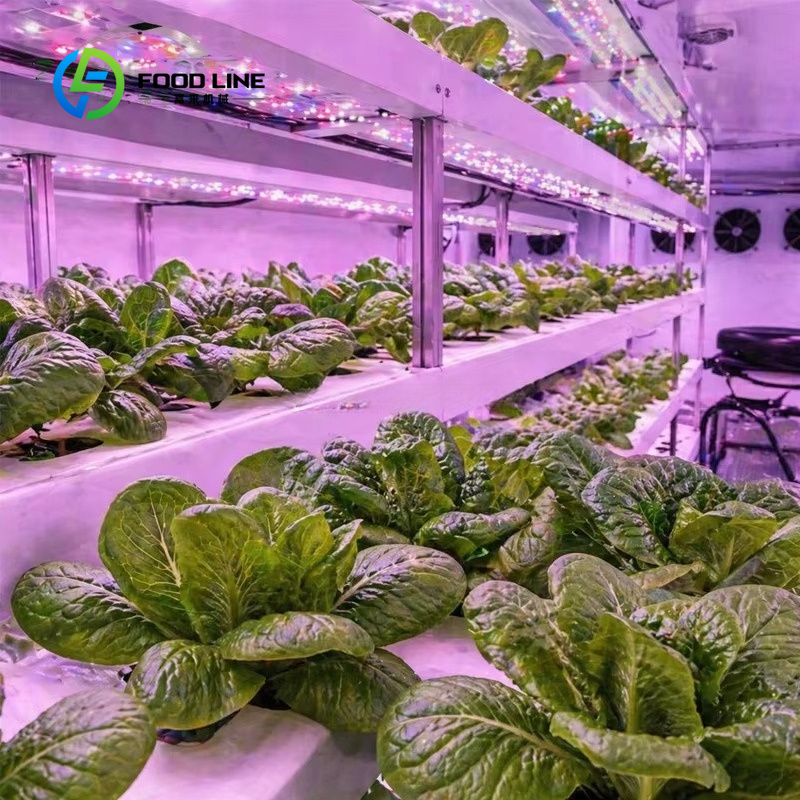 Hydroponic Container Farm for  - Farming Agriculture Project 评论和价格