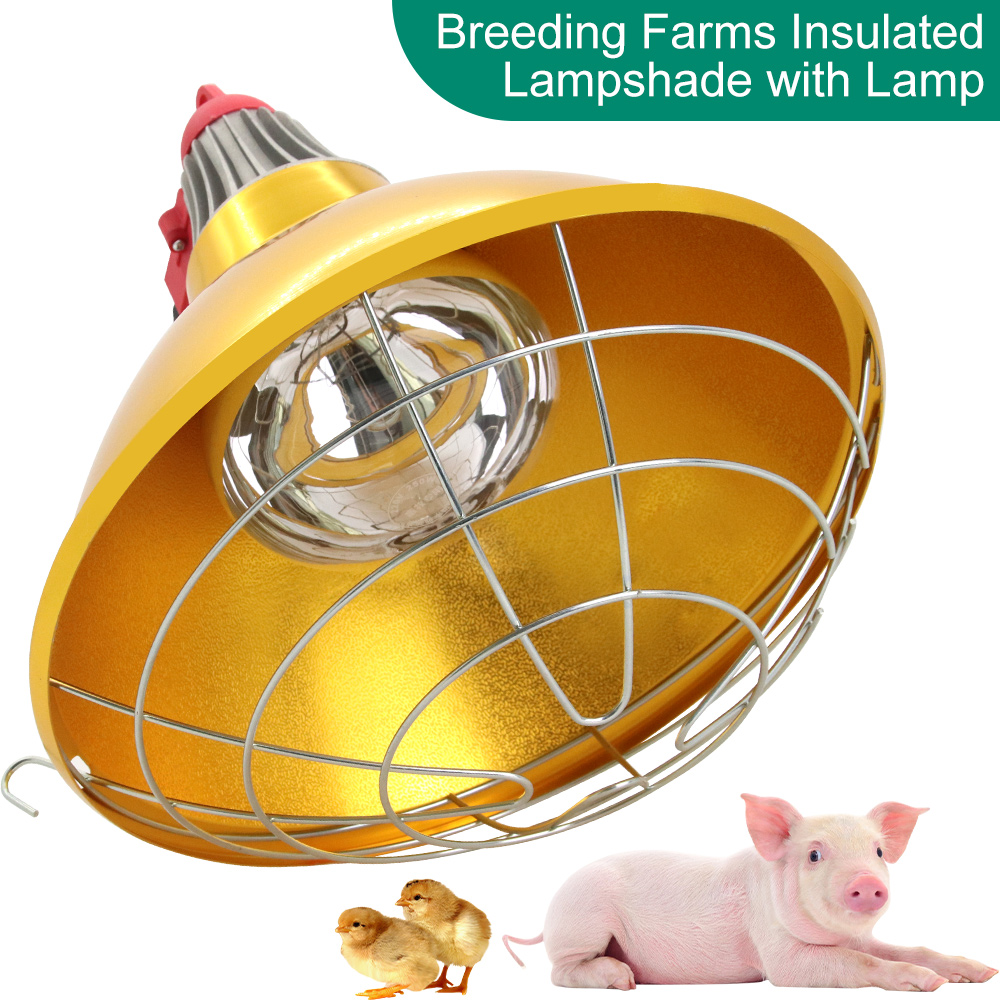 Livestock Pig Brood Warmer Hea - Farming Equipment For Agriculture 评论和价格