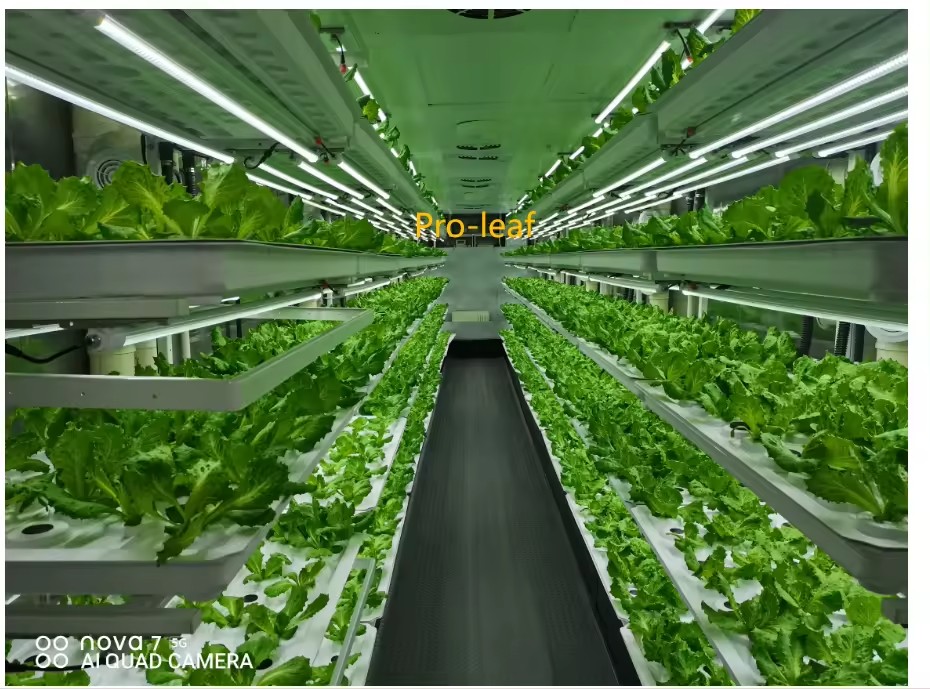 f Greenhouse Agricultural Equi - Farming Equipment For Agriculture 评论和价格