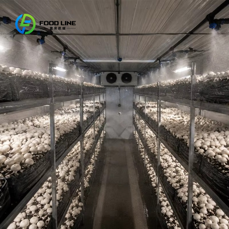 Container Farm Vertical Farmin - Farming Agriculture Project 评论和价格
