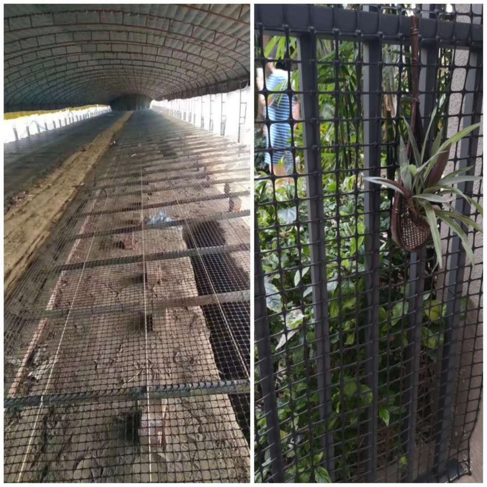 Garden Lattice Mesh Black Plas - Rabbit Cage Wire 评论和价格