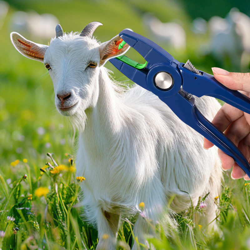 100pcs Integrated Sheep Ear Ta - Livestock Ear Tag 评论和价格