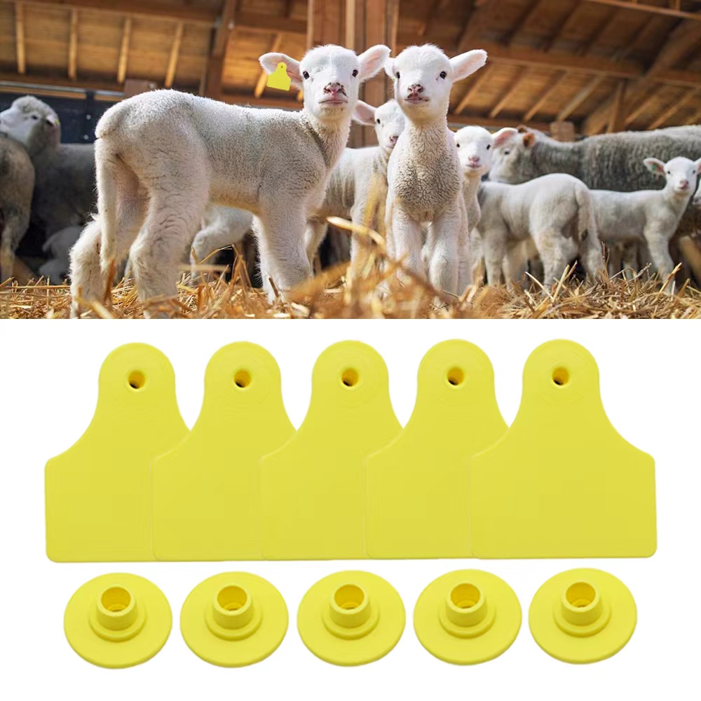 20 Pcs 40*50mm Goats Sheep Cat - Livestock Ear Tag 评论和价格