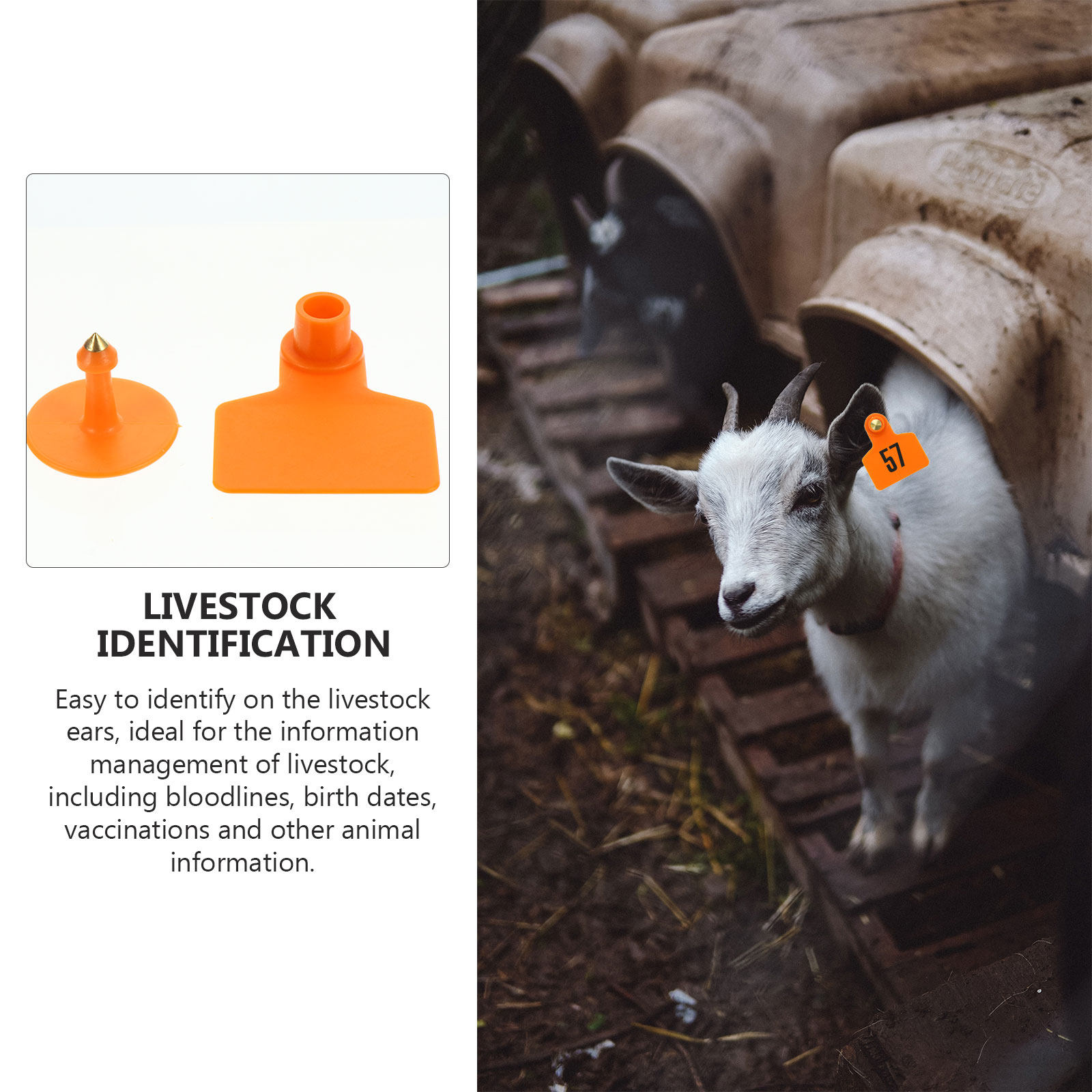 100Pcs Eco Friendly Animal Ear - Livestock Ear Tag 评论和价格